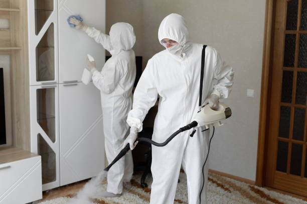 24/7 Emergency Odor Removal experts in Beverly, MA